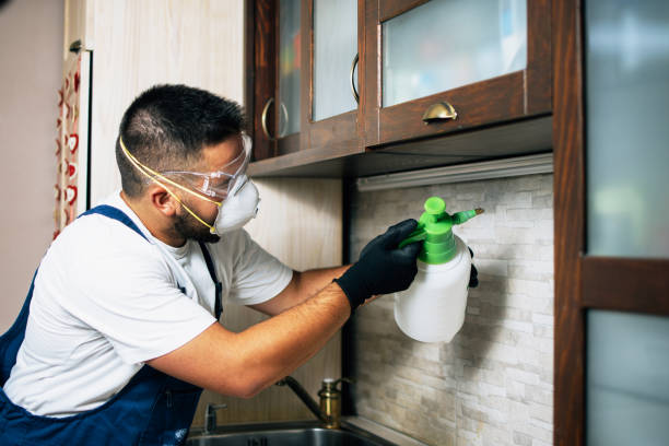 Flea Control Services in Pendergrass, GA