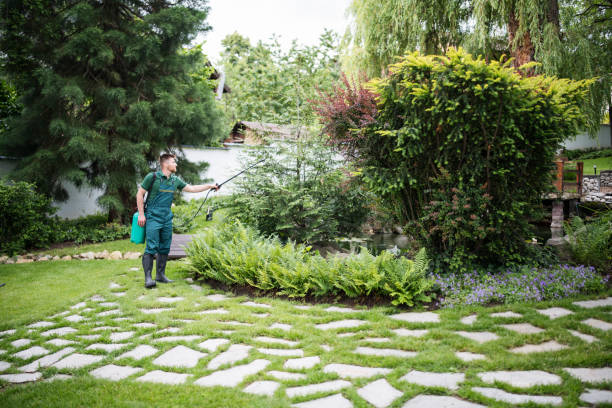 Pest Prevention Services in Pendergrass, GA