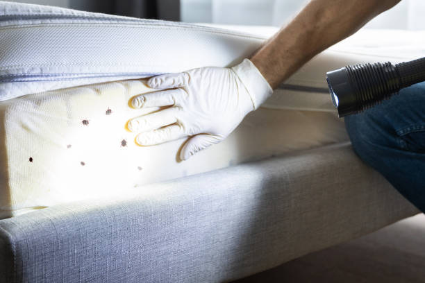 Best Exterminator Services  in Pendergrass, GA