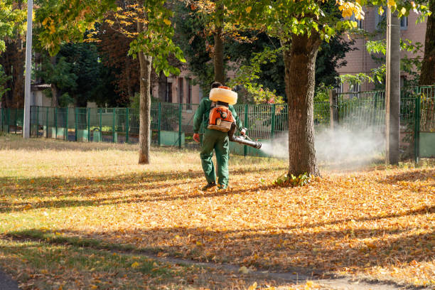 Best Cockroach Control Services  in Pendergrass, GA