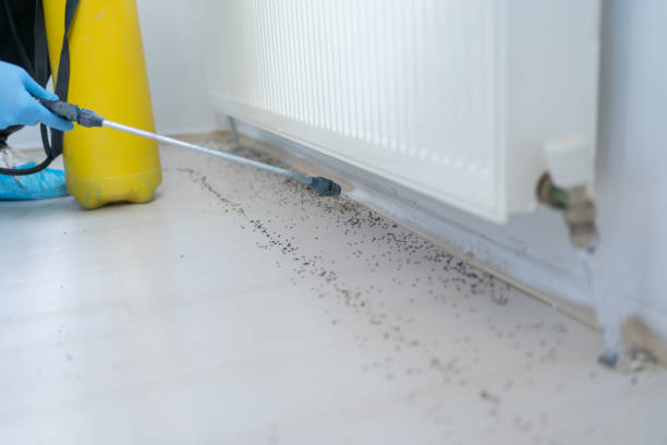 Best Termite Control Services  in Pendergrass, GA