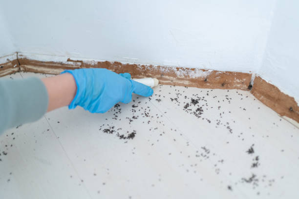 Best Best Pest Control Companies  in Pendergrass, GA