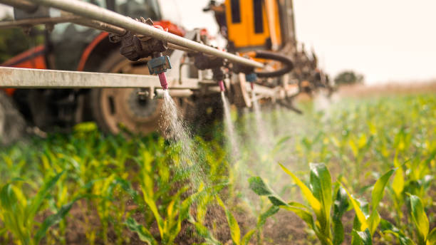 Best Mosquito Control Services  in Pendergrass, GA